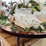 落合ハーブ園 カフェ - 店内