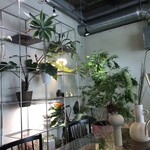 ホーカス・ポーカス - 