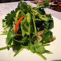 China Four Seasons 六本木店 - 