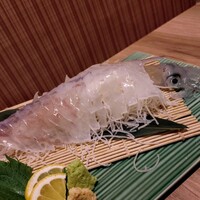 博多海鮮 和たつ美 博多本店 - 