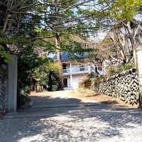 L'Arbre - 