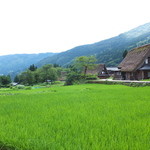 弥次兵衛 - 集落の中には水田も