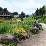 弥次兵衛 - 合掌造りの民宿も何件かありました(^^♪