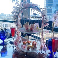 渋谷 Blue bird - 