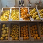 KIKI NATURAL ICECREAM - 