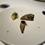 ブレストンコート ユカワタン - 