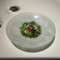 ブレストンコート ユカワタン - 