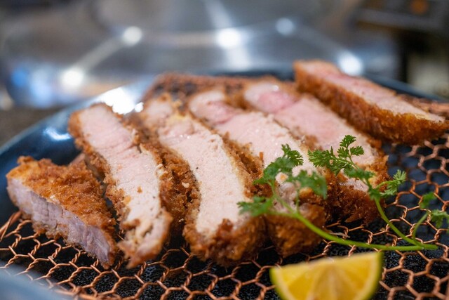 Tonkatsu Mange photo 2