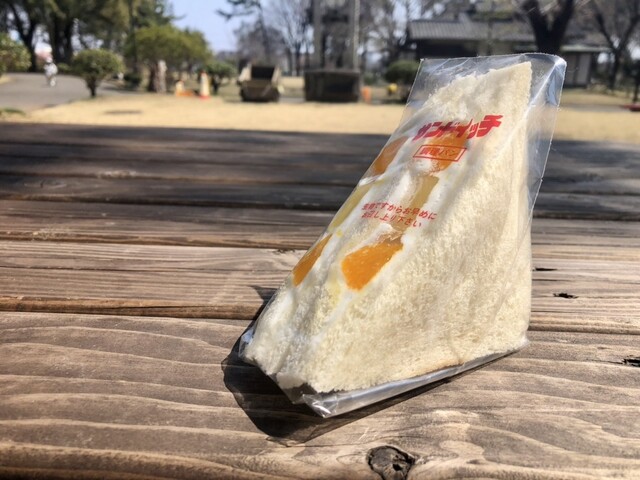 Tezukuri Sandwich Fujiya photo 4