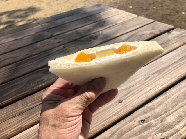 Tezukuri Sandwich Fujiya photo 3