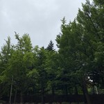 スムーチコーヒースタンド - 