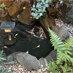 うなぎ料理 三代目うな東 昭和四十四年創業 - 鯉も泳いでる