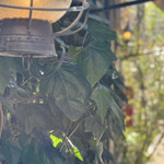 カフェ オトノヴァ - 