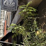 カフェ オトノヴァ - 