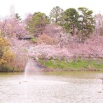 BOTANICAL HOUSE - 公園のVIP席のようなロケーション
