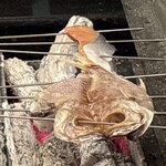 炭火 串焼 音羽亭 - 