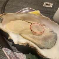 だるま - 