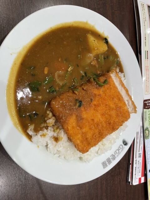 Curry House CoCo Ichibanya Higashisumiyoshiku Kuisenten