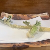 天ぷらふく西 禅と匠 - ウドとこごみ(春らしい山菜。エグみゼロ美味)