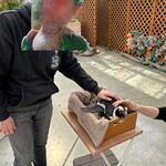 レストラン フローラ - 