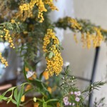 アトリエ ジェイ - 