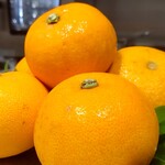 Haruka Murooka - せとか、はっさく