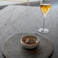 International cuisine subzero - 