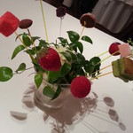 リストランテASO - 2014.５月訪問分