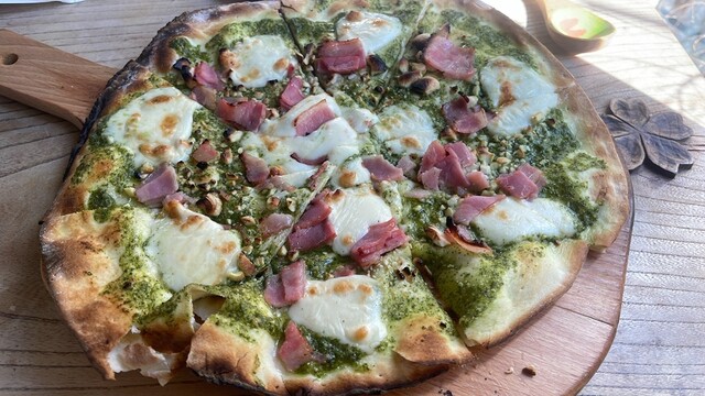 HATTIFNATT Koenjinochi