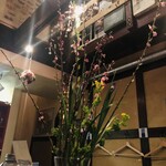 めがねNONNO - 