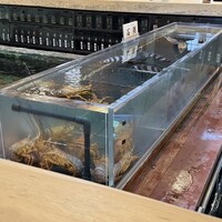 博多料亭 稚加榮 - 