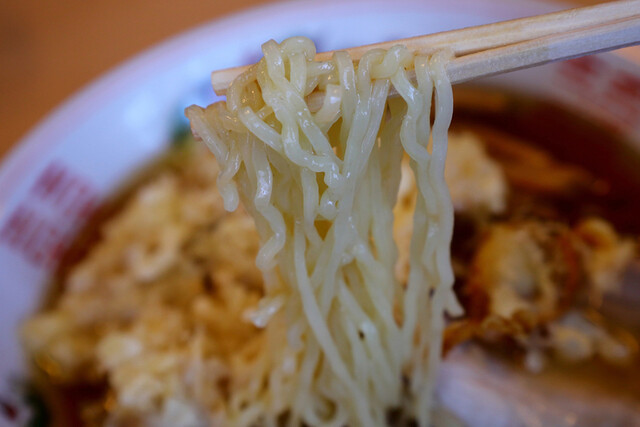 亀乃家（かめのや） - 津軽五所川原（ラーメン）の写真