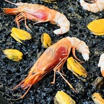 Casa Maians - イカ墨のパエリア