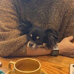 イキ ロースタリー&イータリー - 