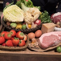オッジ ダルマット 西麻布店 - 