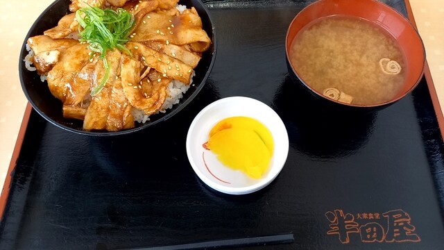 半田屋 滝沢ハイウェイ食堂(上り) - 巣子（食堂）の写真