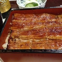 うなぎ川勢 - ２枚。