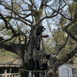 お食事処 大漁 - 