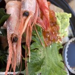 おさかな共和国 えびす丸 - 