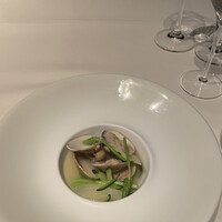 ツキ シュール ラメール - 