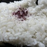 250円弁当ちょ～だがや - 