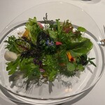 レフェルヴェソンス - 