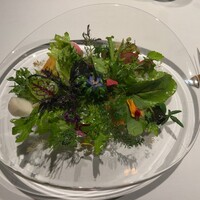 レフェルヴェソンス - 