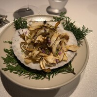 レフェルヴェソンス - 