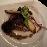 LOVAT - 