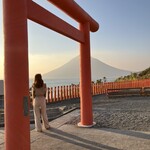 かしわ・鶏刺し専門店 大摩桜 - 