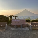 かしわ・鶏刺し専門店 大摩桜 - 