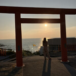 かしわ・鶏刺し専門店 大摩桜 - 