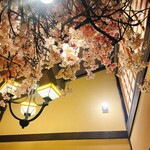 空蝉亭 - 席の頭上の枝垂れ桜