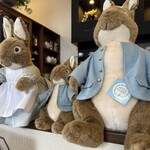 フラワリッシュ - ピーターラビットさんと向かい合って笑